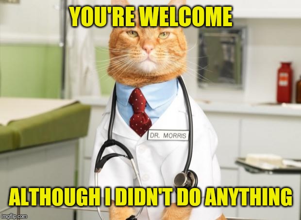 Cat Doctor | YOU'RE WELCOME ALTHOUGH I DIDN'T DO ANYTHING | image tagged in cat doctor | made w/ Imgflip meme maker