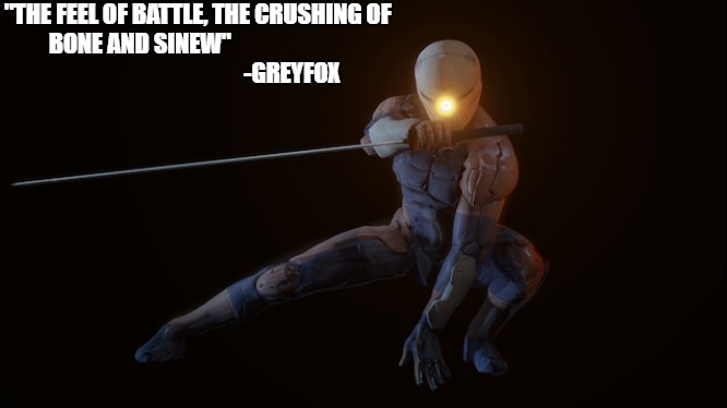 GreyFox | "THE FEEL OF BATTLE, THE CRUSHING OF BONE AND SINEW"
                                                                  -GREYFOX | image tagged in mgs,greyfox,psx,quote | made w/ Imgflip meme maker