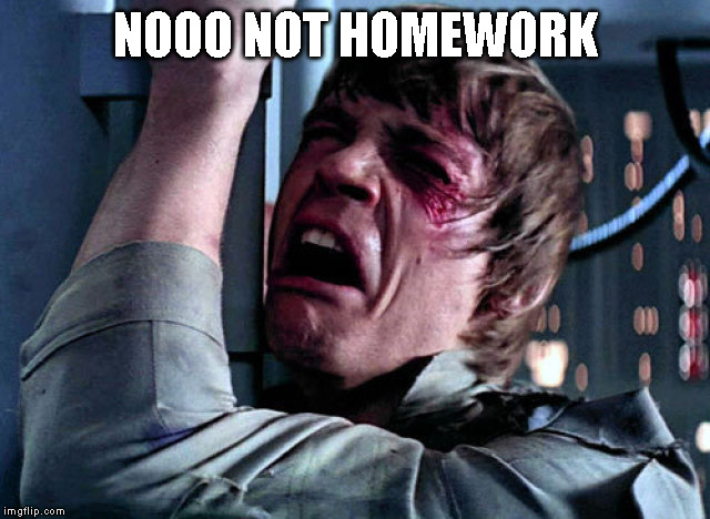 Nooo | NOOO NOT HOMEWORK | image tagged in nooo | made w/ Imgflip meme maker