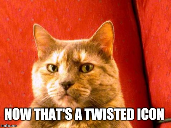 Suspicious Cat Meme | NOW THAT'S A TWISTED ICON | image tagged in memes,suspicious cat | made w/ Imgflip meme maker