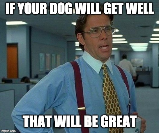 That Would Be Great Meme | IF YOUR DOG WILL GET WELL THAT WILL BE GREAT | image tagged in memes,that would be great | made w/ Imgflip meme maker