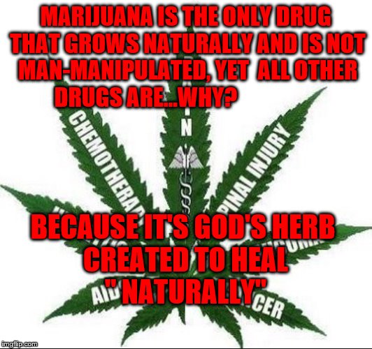 Benefits of Marijuana | MARIJUANA IS THE ONLY DRUG THAT GROWS NATURALLY AND IS NOT MAN-MANIPULATED, YET  ALL OTHER DRUGS ARE...WHY? BECAUSE IT'S GOD'S HERB         CREATED TO HEAL                 " NATURALLY" | image tagged in benefits of marijuana | made w/ Imgflip meme maker