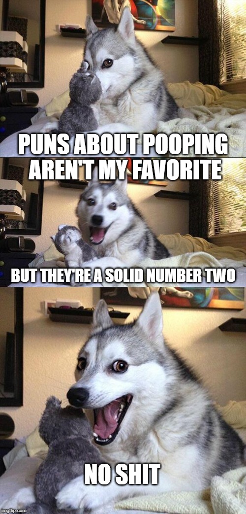 No Sh*t, Bag Pun Dog | PUNS ABOUT POOPING AREN'T MY FAVORITE; BUT THEY'RE A SOLID NUMBER TWO; NO SHIT | image tagged in memes,bad pun dog,poop | made w/ Imgflip meme maker