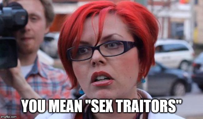 Angry Feminist | YOU MEAN "SEX TRAITORS" | image tagged in angry feminist | made w/ Imgflip meme maker