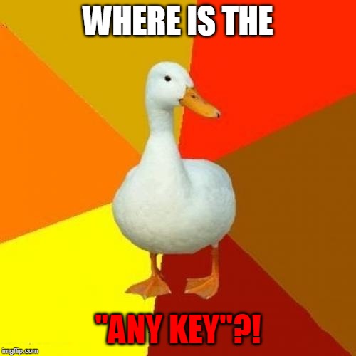 Tech Impaired Duck | WHERE IS THE; "ANY KEY"?! | image tagged in memes,tech impaired duck | made w/ Imgflip meme maker