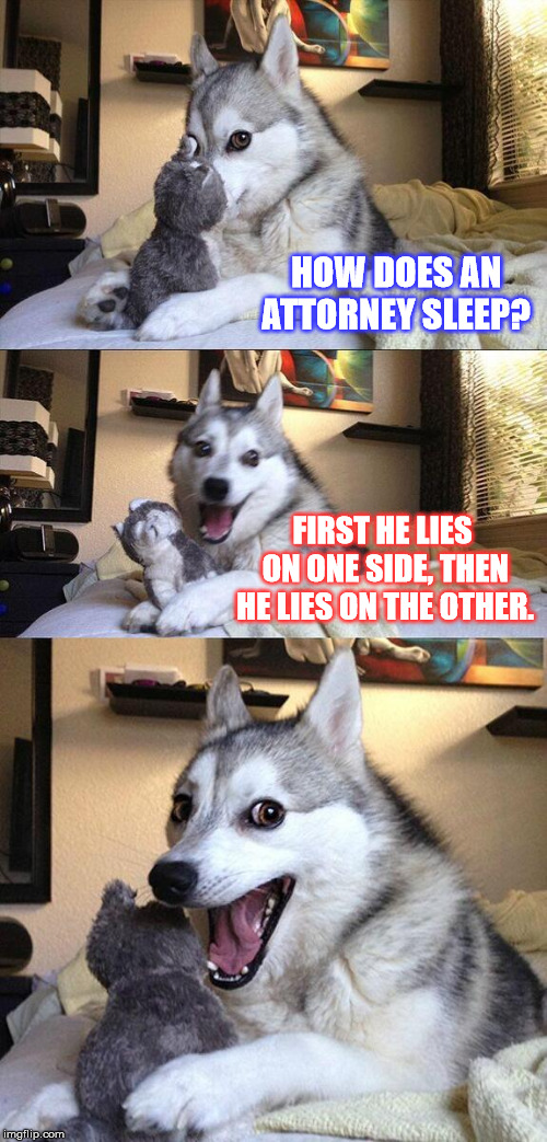 Hope they sleep well... | HOW DOES AN ATTORNEY SLEEP? FIRST HE LIES ON ONE SIDE, THEN HE LIES ON THE OTHER. | image tagged in memes,bad pun dog,funny,dogs,puns,jokes | made w/ Imgflip meme maker