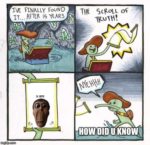 The Scroll Of Truth | u are; HOW DID U KNOW | image tagged in memes,the scroll of truth | made w/ Imgflip meme maker