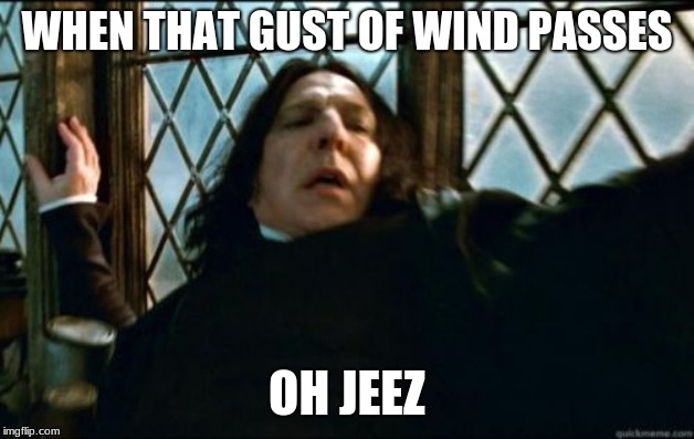 Snape | WHEN THAT GUST OF WIND PASSES; OH JEEZ | image tagged in memes,snape | made w/ Imgflip meme maker