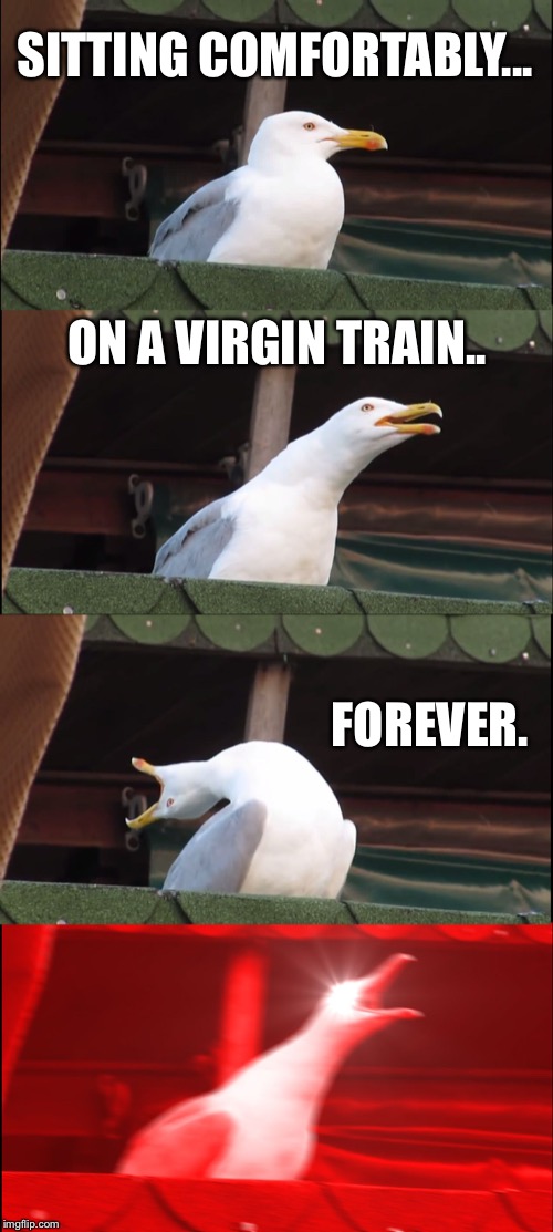 Inhaling Seagull Meme | SITTING COMFORTABLY... ON A VIRGIN TRAIN.. FOREVER. | image tagged in memes,inhaling seagull | made w/ Imgflip meme maker