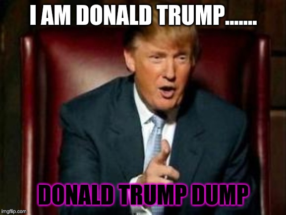 Donald Trump | I AM DONALD TRUMP....... DONALD TRUMP DUMP | image tagged in donald trump | made w/ Imgflip meme maker