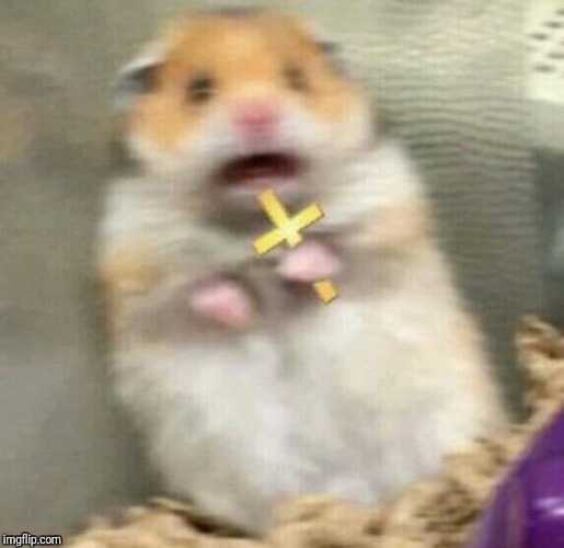 Scared Hamster with Cross | . | image tagged in scared hamster with cross | made w/ Imgflip meme maker