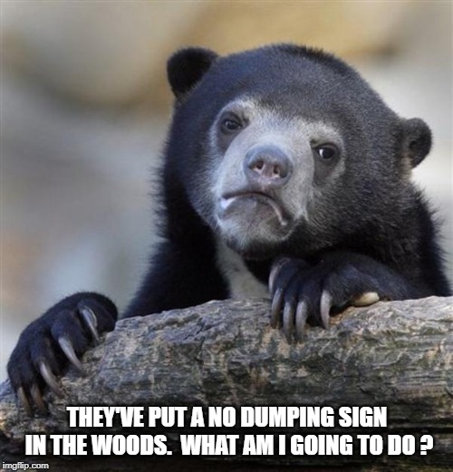 sad bear | THEY'VE PUT A NO DUMPING SIGN IN THE WOODS.  WHAT AM I GOING TO DO ? | image tagged in sad bear | made w/ Imgflip meme maker