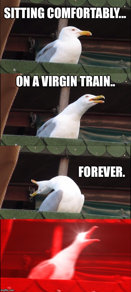 Inhaling Seagull | SITTING COMFORTABLY... ON A VIRGIN TRAIN.. FOREVER. | image tagged in memes,inhaling seagull | made w/ Imgflip meme maker