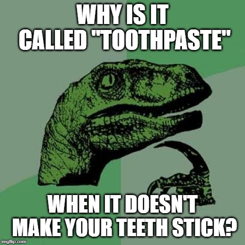 Philosoraptor | WHY IS IT CALLED "TOOTHPASTE"; WHEN IT DOESN'T MAKE YOUR TEETH STICK? | image tagged in memes,philosoraptor | made w/ Imgflip meme maker