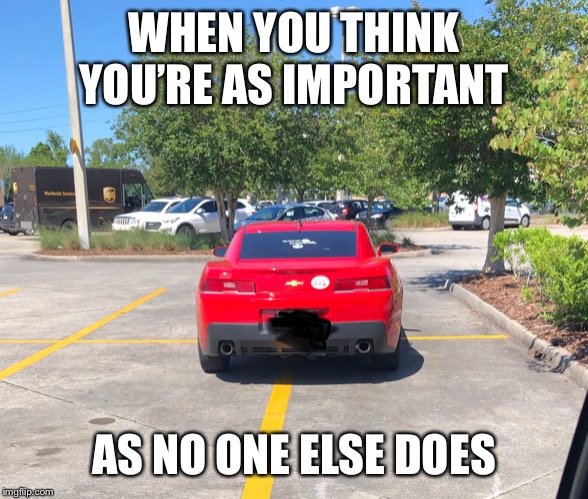 It’s just a Camaro ? | WHEN YOU THINK YOU’RE AS IMPORTANT; AS NO ONE ELSE DOES | image tagged in bad parking,self involved,camaro | made w/ Imgflip meme maker