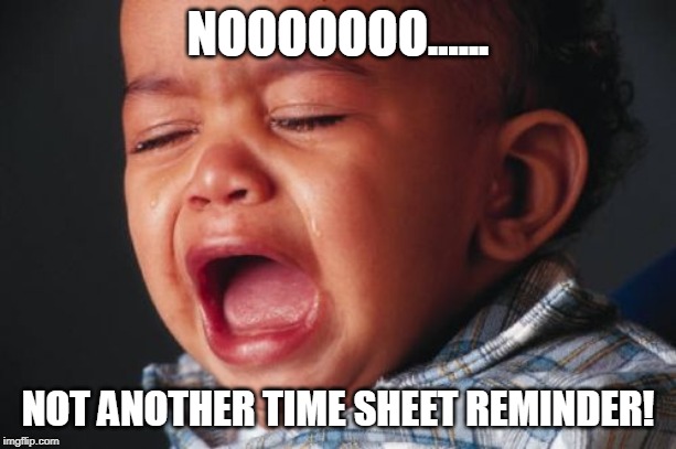 Unhappy Baby | NOOOOOOO...... NOT ANOTHER TIME SHEET REMINDER! | image tagged in memes,unhappy baby | made w/ Imgflip meme maker
