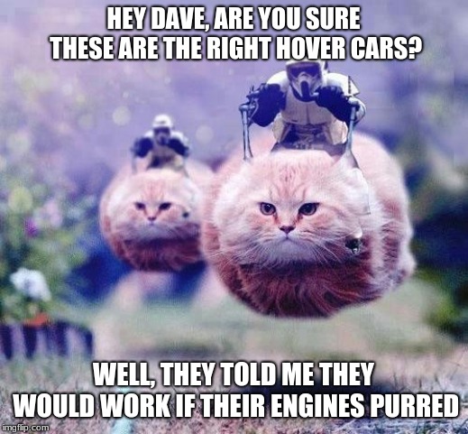 Storm Trooper Cats | HEY DAVE, ARE YOU SURE THESE ARE THE RIGHT HOVER CARS? WELL, THEY TOLD ME THEY WOULD WORK IF THEIR ENGINES PURRED | image tagged in storm trooper cats | made w/ Imgflip meme maker