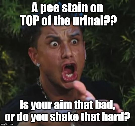 w | A pee stain on TOP of the urinal?? Is your aim that bad, or do you shake that hard? | image tagged in dj pauly d,urinal,urinal guy | made w/ Imgflip meme maker