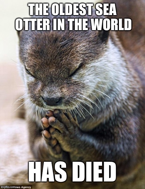 Let Us All Bow Our Heads | THE OLDEST SEA OTTER IN THE WORLD; HAS DIED | image tagged in thank you lord otter,memes,true story,death | made w/ Imgflip meme maker