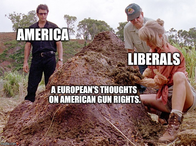 Jurassic Park Shit | AMERICA; LIBERALS; A EUROPEAN'S THOUGHTS ON AMERICAN GUN RIGHTS. | image tagged in jurassic park shit | made w/ Imgflip meme maker