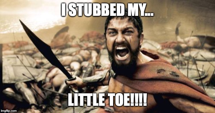 Ooh. That's smarts. | I STUBBED MY... LITTLE TOE!!!! | image tagged in memes,sparta leonidas | made w/ Imgflip meme maker