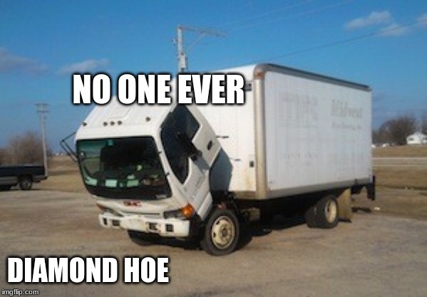 except me... | NO ONE EVER; DIAMOND HOE | image tagged in memes,okay truck,minecraft,diamond,hoe | made w/ Imgflip meme maker