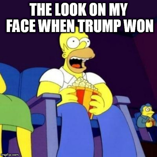 Homer eating popcorn | THE LOOK ON MY FACE WHEN TRUMP WON | image tagged in homer eating popcorn | made w/ Imgflip meme maker