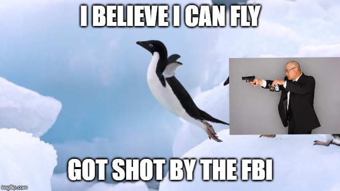 flying penguin | I BELIEVE I CAN FLY; GOT SHOT BY THE FBI | image tagged in flying penguin | made w/ Imgflip meme maker