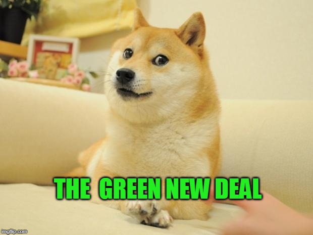 Doge 2 Meme | THE  GREEN NEW DEAL | image tagged in memes,doge 2 | made w/ Imgflip meme maker