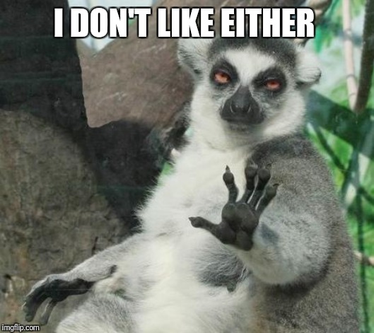 Stoner Lemur Meme | I DON'T LIKE EITHER | image tagged in memes,stoner lemur | made w/ Imgflip meme maker