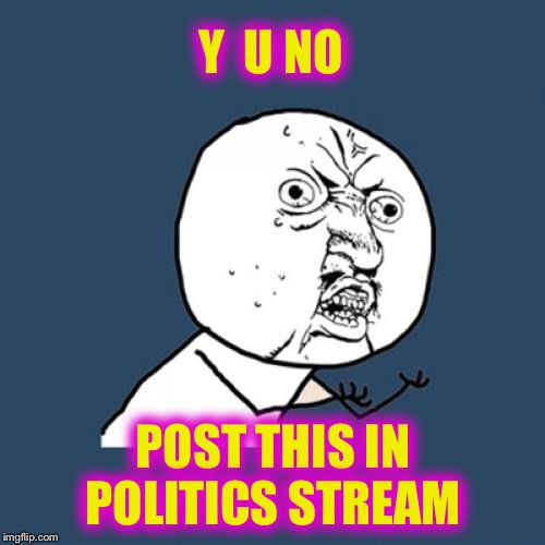 Y U No Meme | Y  U NO POST THIS IN POLITICS STREAM | image tagged in memes,y u no | made w/ Imgflip meme maker