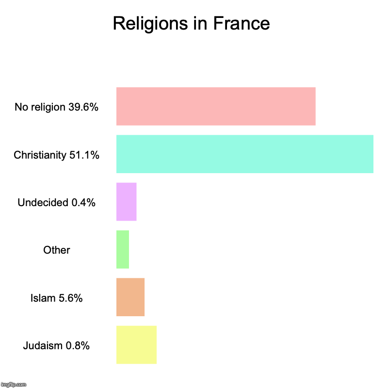 Religions in France | No religion 39.6%, Christianity 51.1%, Undecided 0.4%, Other, Islam 5.6%, Judaism 0.8% | image tagged in charts,bar charts | made w/ Imgflip chart maker