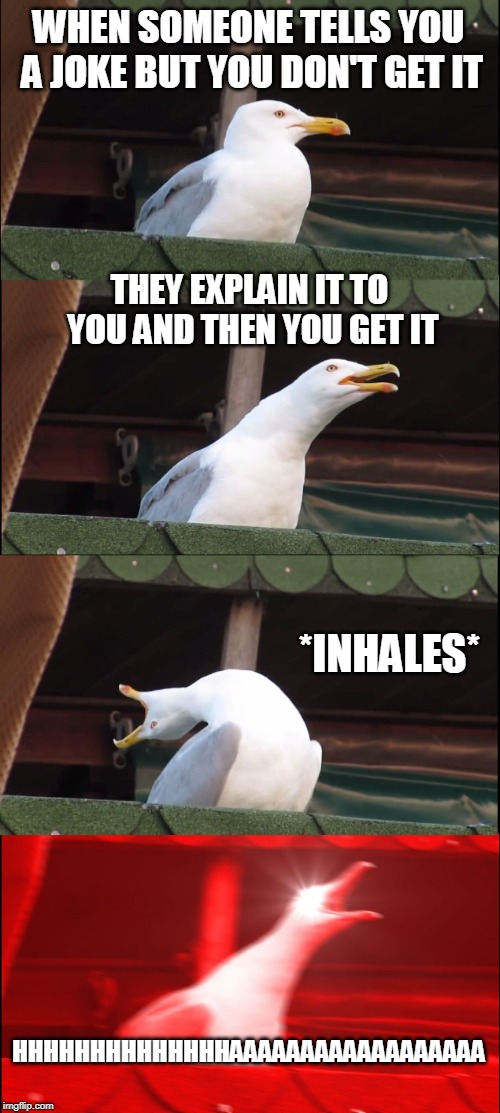 Inhaling Seagull | WHEN SOMEONE TELLS YOU A JOKE BUT YOU DON'T GET IT; THEY EXPLAIN IT TO YOU AND THEN YOU GET IT; *INHALES*; HHHHHHHHHHHHHHAAAAAAAAAAAAAAAAAA | image tagged in memes,inhaling seagull | made w/ Imgflip meme maker