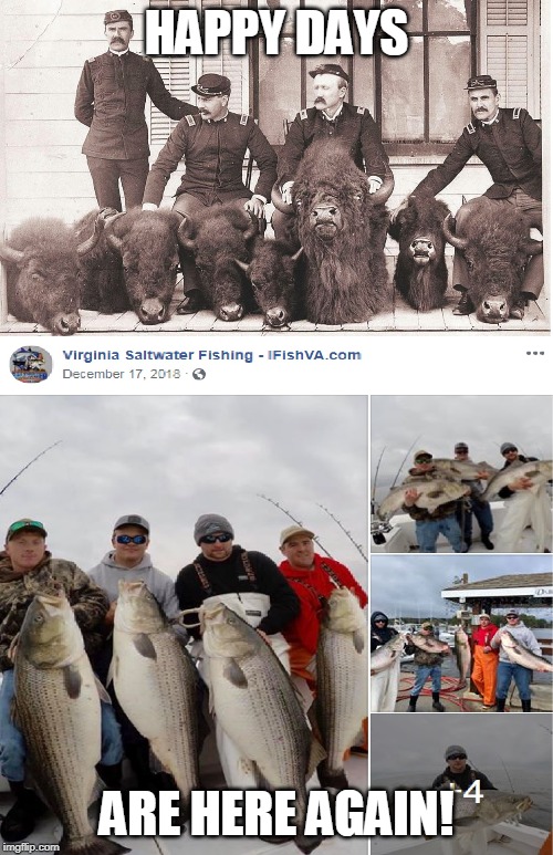 Happy Days | HAPPY DAYS; ARE HERE AGAIN! | image tagged in stripers,rockfish,last buffalos | made w/ Imgflip meme maker