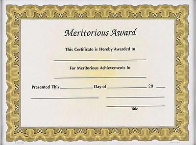 Meritorious Achievement Award Blank Meme Template