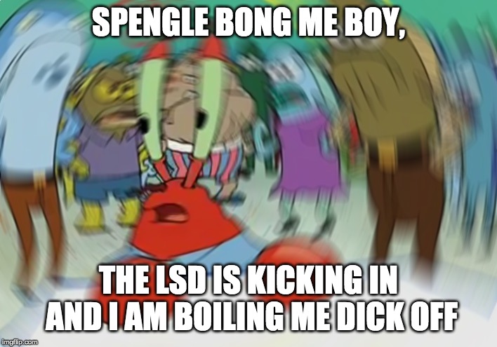 Mr Krabs Blur Meme | SPENGLE BONG ME BOY, THE LSD IS KICKING IN AND I AM BOILING ME DICK OFF | image tagged in memes,mr krabs blur meme | made w/ Imgflip meme maker