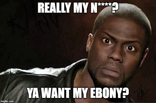 Kevin Hart | REALLY MY N****? YA WANT MY EBONY? | image tagged in memes,kevin hart | made w/ Imgflip meme maker