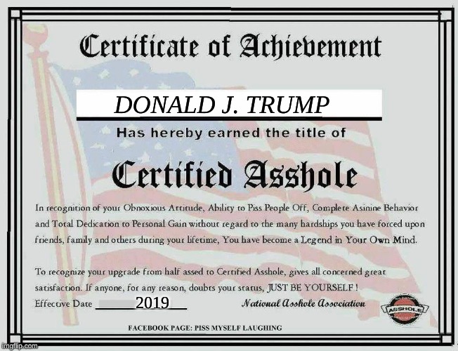 Certified Asshole | DONALD J. TRUMP; 2019 | image tagged in certified asshole | made w/ Imgflip meme maker