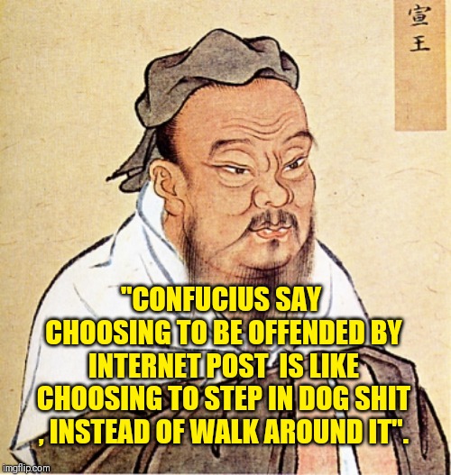 Confucius Says | "CONFUCIUS SAY CHOOSING TO BE OFFENDED BY INTERNET POST  IS LIKE CHOOSING TO STEP IN DOG SHIT , INSTEAD OF WALK AROUND IT". | image tagged in confucius says | made w/ Imgflip meme maker