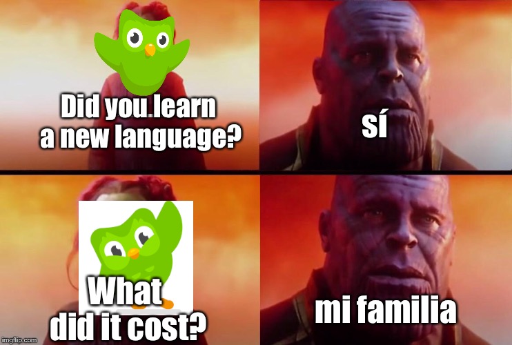 What did it cost? | Did you learn a new language? sí; mi familia; What did it cost? | image tagged in what did it cost,duolingo | made w/ Imgflip meme maker