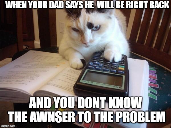 Math cat | WHEN YOUR DAD SAYS HE  WILL BE RIGHT BACK; AND YOU DONT KNOW THE AWNSER TO THE PROBLEM | image tagged in math cat | made w/ Imgflip meme maker