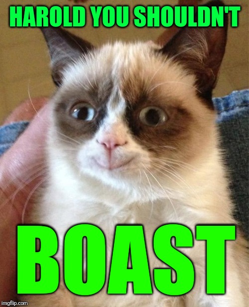 Grumpy Cat Happy Meme | HAROLD YOU SHOULDN'T BOAST | image tagged in memes,grumpy cat happy,grumpy cat | made w/ Imgflip meme maker