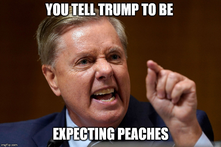 YOU TELL TRUMP TO BE; EXPECTING PEACHES | image tagged in lindsey graham | made w/ Imgflip meme maker