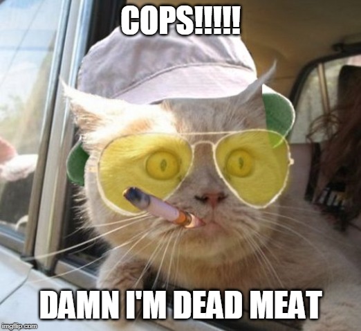 Fear And Loathing Cat | COPS!!!!! DAMN I'M DEAD MEAT | image tagged in memes,fear and loathing cat | made w/ Imgflip meme maker