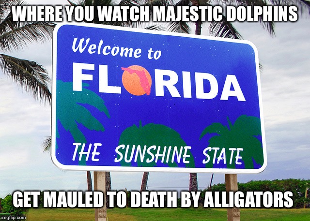 Florida | WHERE YOU WATCH MAJESTIC DOLPHINS; GET MAULED TO DEATH BY ALLIGATORS | image tagged in florida | made w/ Imgflip meme maker