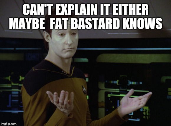 Shrug Data | CAN'T EXPLAIN IT EITHER MAYBE  FAT BASTARD KNOWS | image tagged in shrug data | made w/ Imgflip meme maker