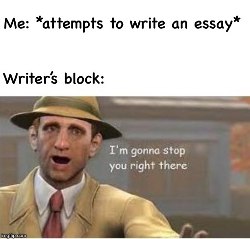 I'm gonna stop you right there! | Me: *attempts to write an essay*; Writer’s block: | image tagged in im going to stop you right there | made w/ Imgflip meme maker