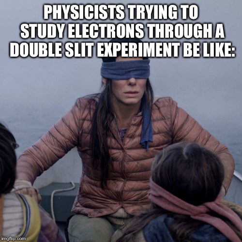 Bird Box Meme | PHYSICISTS TRYING TO STUDY ELECTRONS THROUGH A DOUBLE SLIT EXPERIMENT BE LIKE: | image tagged in memes,bird box | made w/ Imgflip meme maker