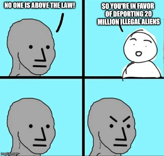 NPC Meme | NO ONE IS ABOVE THE LAW! SO YOU'RE IN FAVOR OF DEPORTING 20 MILLION ILLEGAL ALIENS | image tagged in npc meme | made w/ Imgflip meme maker