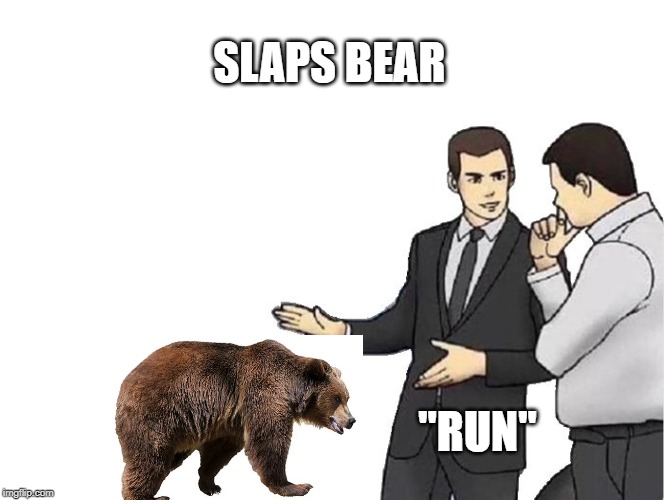 Car Salesman Slaps Hood | SLAPS BEAR; "RUN" | image tagged in memes,car salesman slaps hood | made w/ Imgflip meme maker